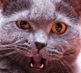 Similar image 18137737