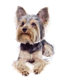 Similar image 18137742