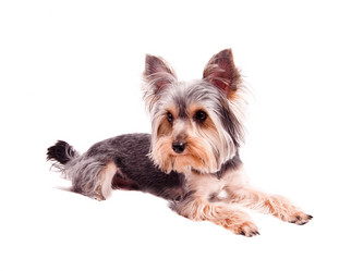 Similar image 18137785