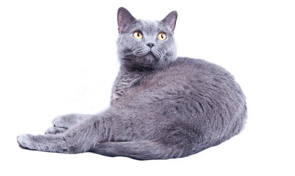 Similar image 18137792