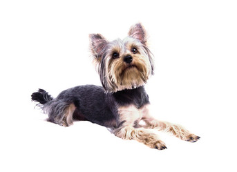 Similar image 18137756