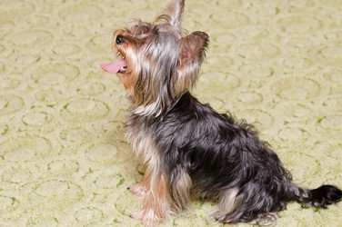 Similar image 18137773