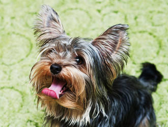 Similar image 18137774