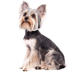 Similar image 18137804