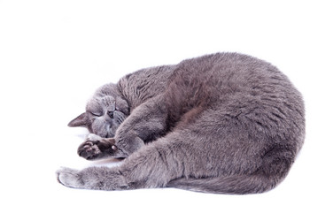 Similar image 18137823