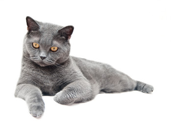 Similar image 18137832