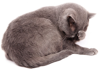 Similar image 18137863