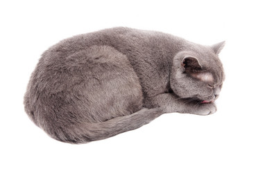 Similar image 18137866