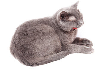 Similar image 18137869