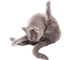 Similar image 18137879