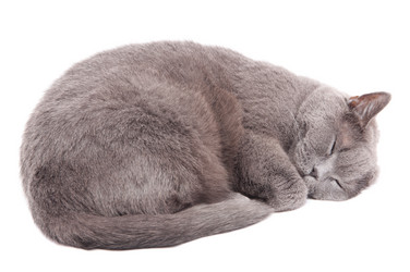 Similar image 18137875