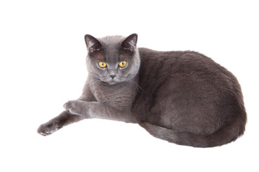 Similar image 18137882