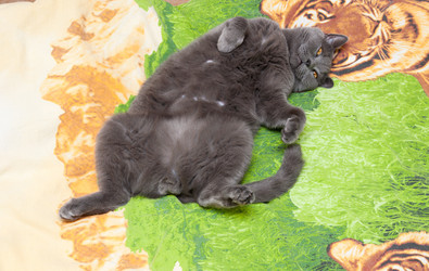 Similar image 18137886