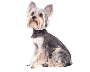 Similar image 18137927