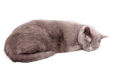 Similar image 18137930