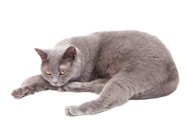 Similar image 18137907