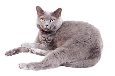 Similar image 18137909