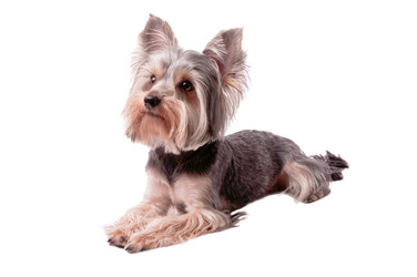 Similar image 18137928