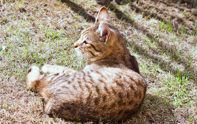 Similar image 18137929