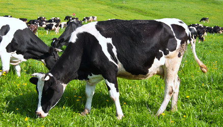 Similar image 18547422