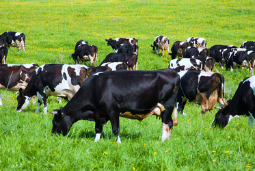 Similar image 18547644