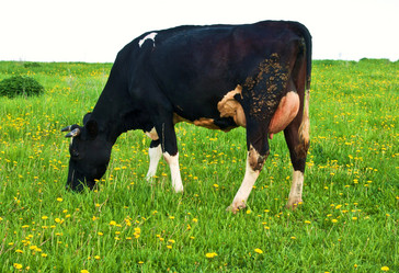 Similar image 18547446