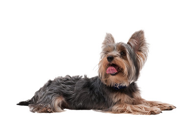 Similar image 18547607