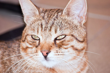 Similar image 18547523