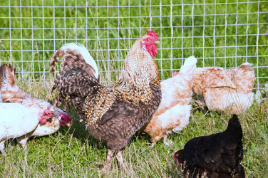 Similar image 18547950