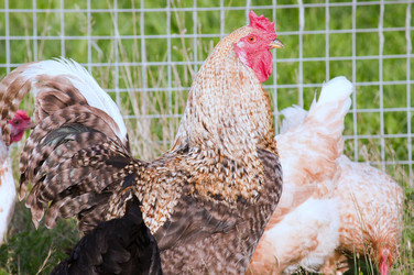 Similar image 18548328