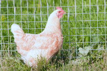 Similar image 18548313