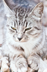 Similar image 18561935