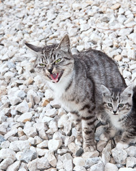 Similar image 18562826