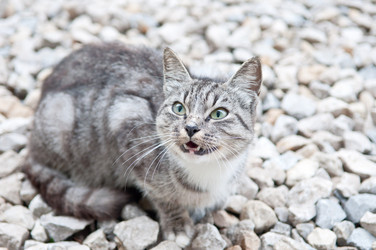 Similar image 18562922