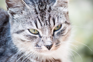 Similar image 18563117