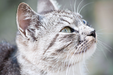 Similar image 18563102