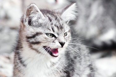 Similar image 18563148