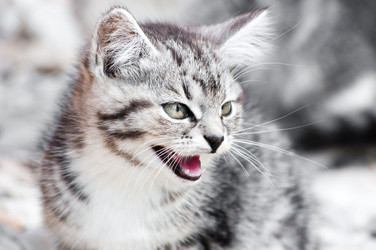 Similar image 18563207