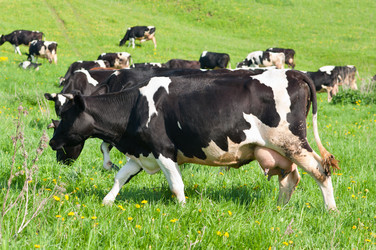 Similar image 18568586