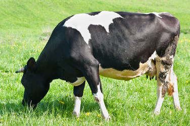 Similar image 18567751