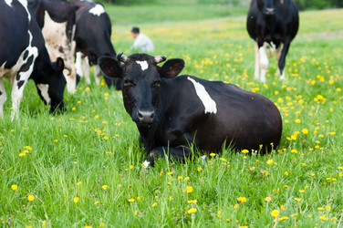 Similar image 18568551