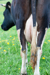 Similar image 18568638