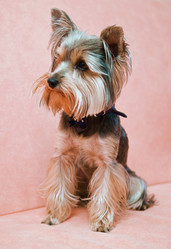 Similar image 18567858