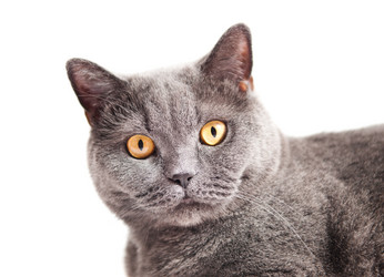 Similar image 18568538