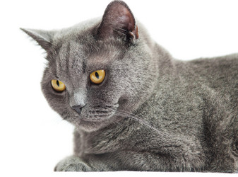 Similar image 18568613