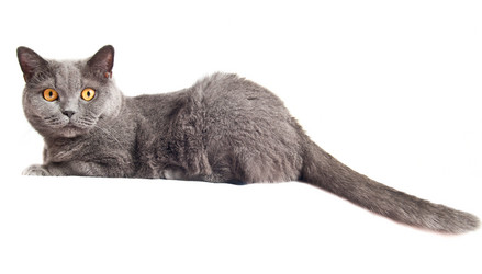 Similar image 18568624