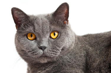 Similar image 18569273