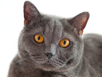 Similar image 18569316