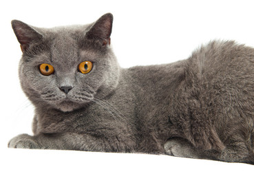 Similar image 18569480