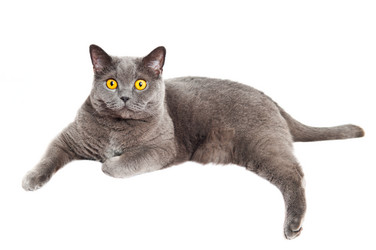 Similar image 18569547